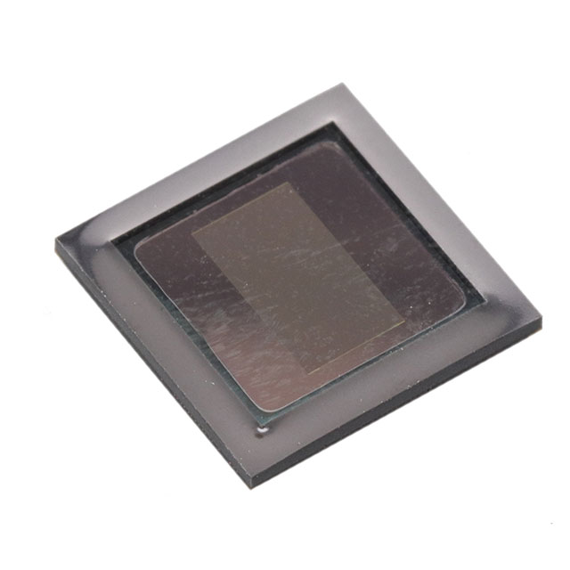 AR0230CSSC00SUEA0-DRBR onsemi  Image Sensors Camera