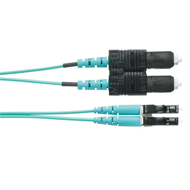 FZ2ERLNSNSNM049 Panduit Corp  Assemblaggi di cavi