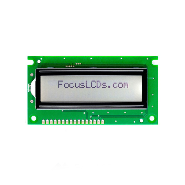 C162B-FTW-LW65 Focus LCDs  Écran LCD OLED à caractères et chiffres