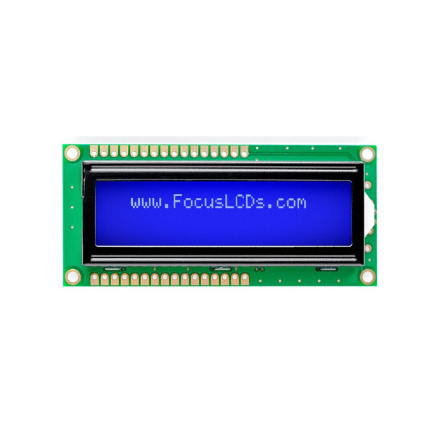 C162A-BW-LW65 Focus LCDs  Écran LCD OLED à caractères et chiffres