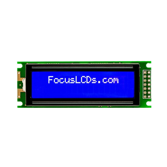 C162C-BW-LW65 Focus LCDs  LCD OLED Zeichen und Ziffern