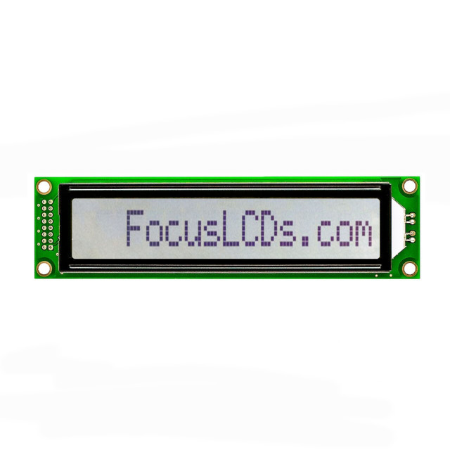 C161C-FTW-LW65 Focus LCDs  Écran LCD OLED à caractères et chiffres