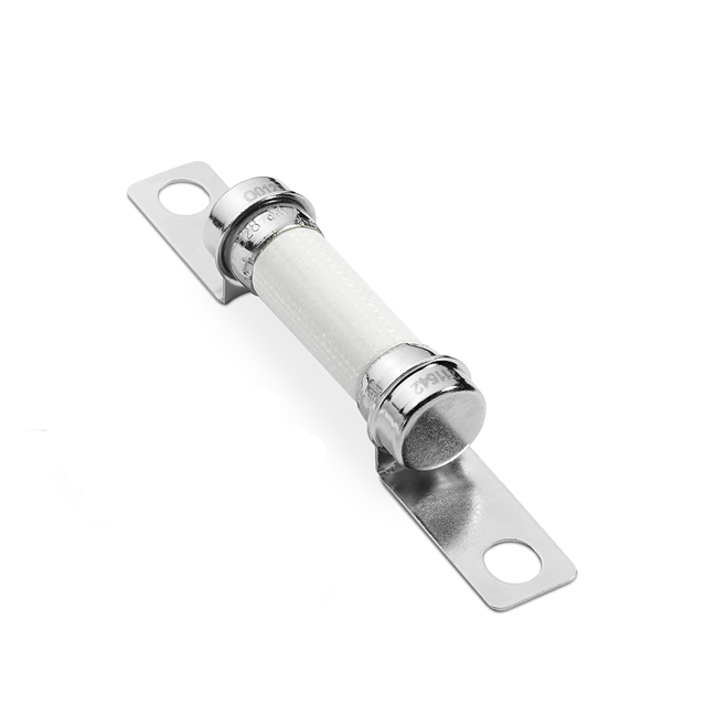 0828025.ZXISOP Littelfuse Inc. Fusibles