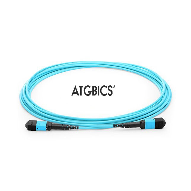 TCAB-24MPOFF-OM3-1M ATGBICS  Assemblaggi di cavi