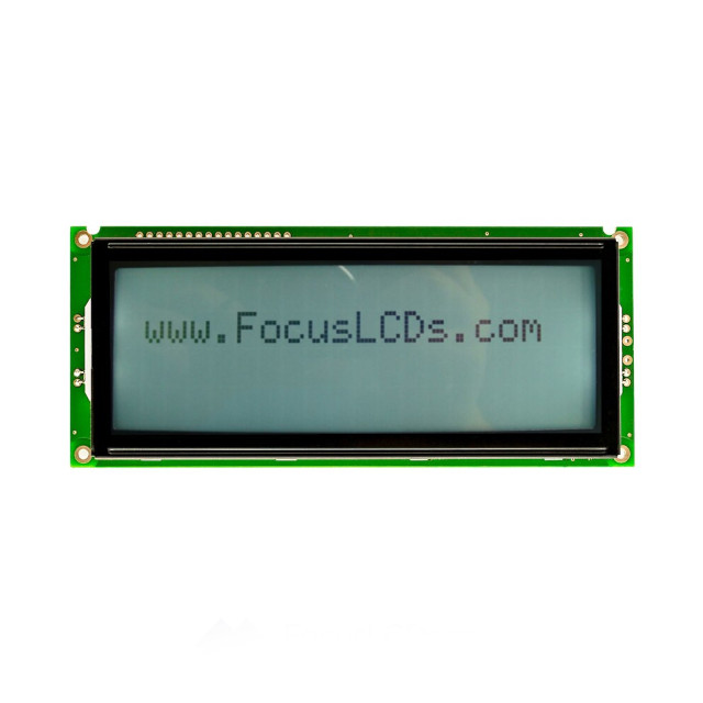 C204B-FTW-LW65 Focus LCDs  Écran LCD OLED à caractères et chiffres