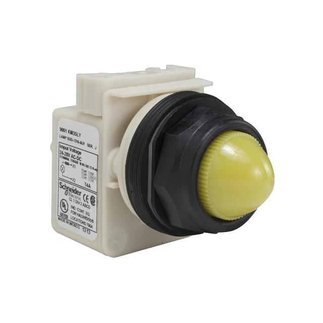 9001SKP35LYY9 Schneider Electric  Voyants du panneau