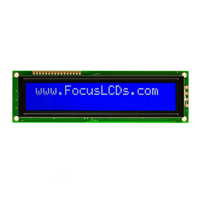 C202C-BW-LW65 Focus LCDs  Écran LCD OLED à caractères et chiffres