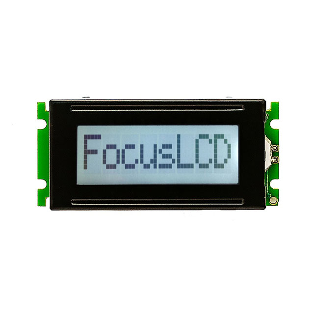 C81B-FTW-XW65 Focus LCDs  Écran LCD OLED à caractères et chiffres