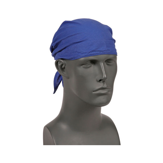 12327 Ergodyne  Personal Protective Equipment (PPE)