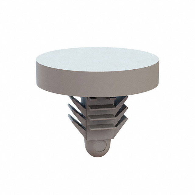 27XTS2500394 Essentra Components  Rivetti