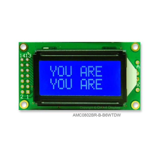 AMC0802BR-B-B6WTDW Orient Display  Écran LCD OLED à caractères et chiffres