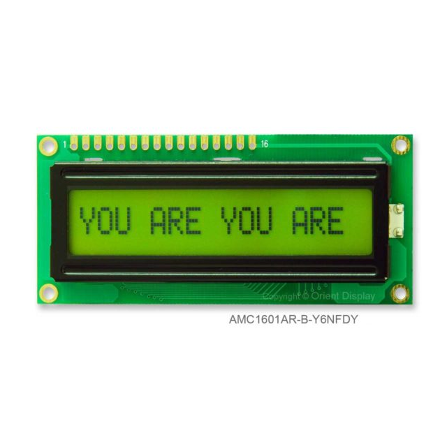 AMC1601AR-B-Y6NFDY Orient Display  Écran LCD OLED à caractères et chiffres
