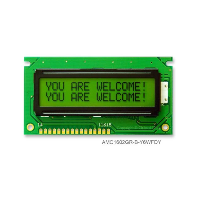 AMC1602GR-B-Y6WFDY Orient Display  Écran LCD OLED à caractères et chiffres