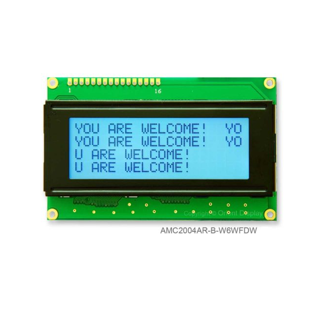 AMC2004AR-B-W6WFDW Orient Display  Écran LCD OLED à caractères et chiffres