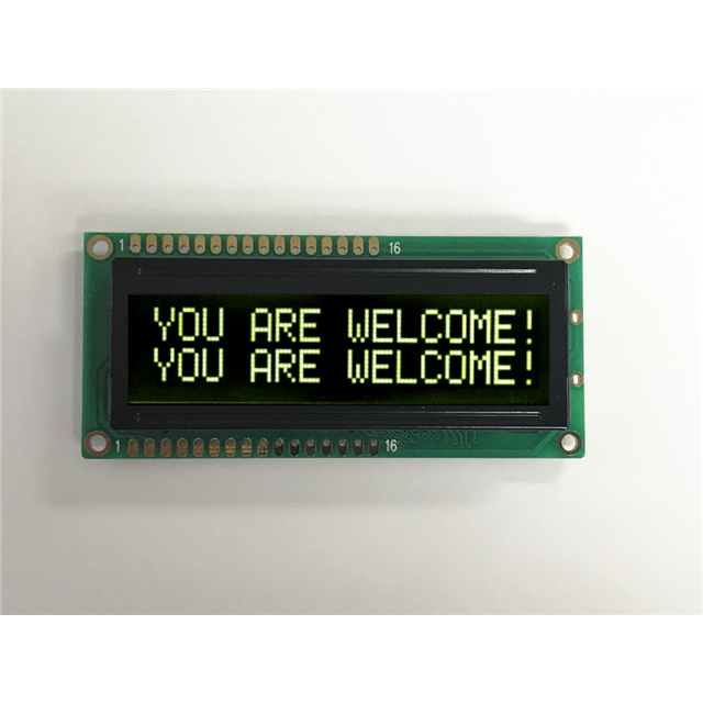 AMC1602AR-B-T6WTDY Orient Display  Écran LCD OLED à caractères et chiffres