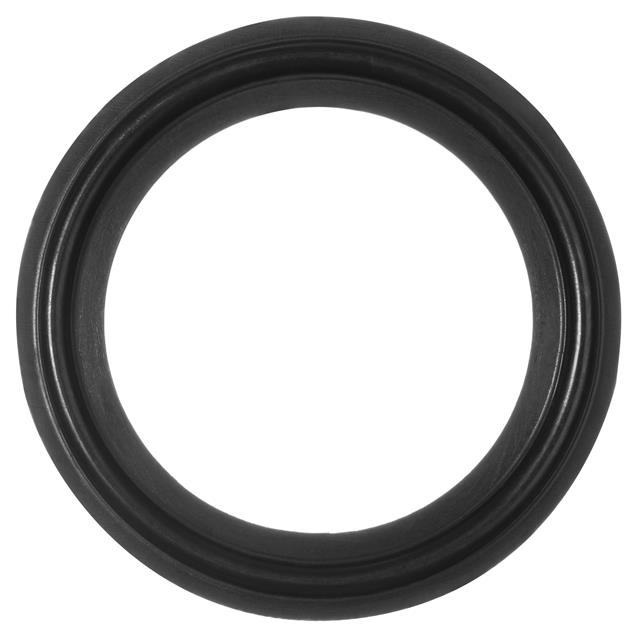 ZUSA-SG-V-4 USA Sealing  Guarnizioni - O-ring