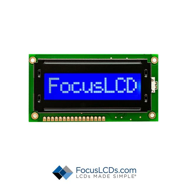 C81A-BW-LW63 Focus LCDs  Écran LCD OLED à caractères et chiffres