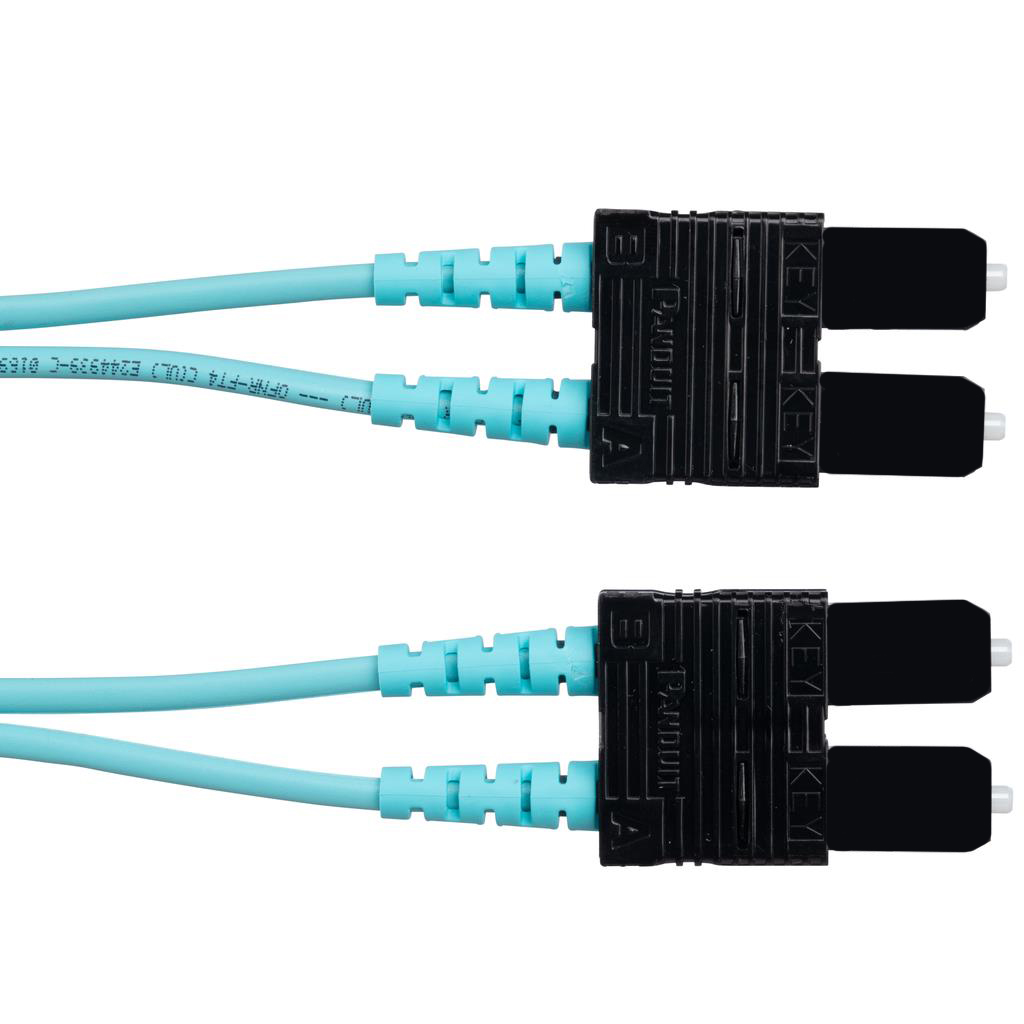 FZ23RSNSNSNM004 Panduit Corp  Assemblaggi di cavi