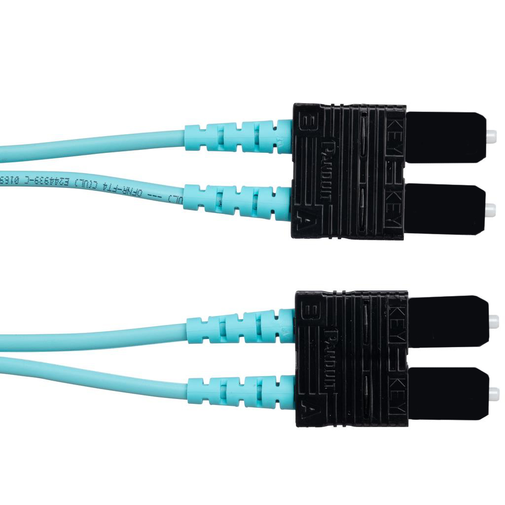 FZ23RSNSNSNM005 Panduit Corp  Assemblaggi di cavi
