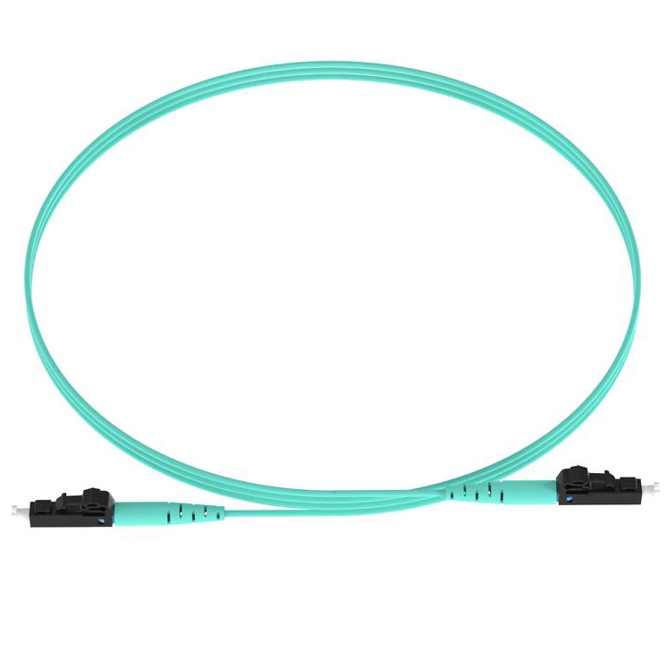 FZ2ELLNLNSNM010 Panduit Corp  Assemblaggi di cavi