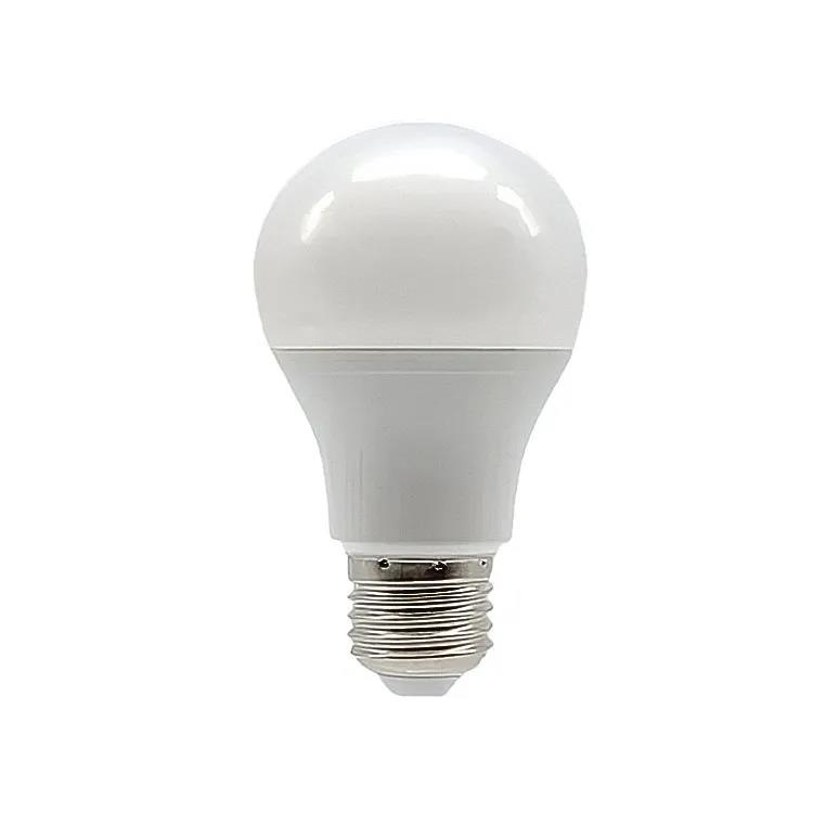 5-Watt 48DC LED Bulb Marshall DC Lighting  Remplacement des lampes
