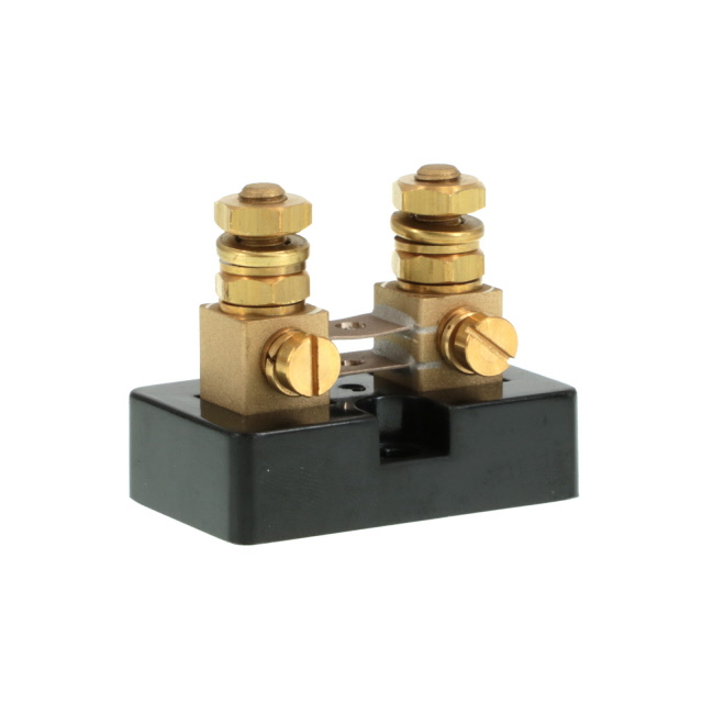 RSA-100-50 Riedon  Resistori montati sul telaio